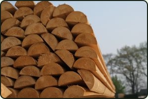 Verduurzamen van hout, certificering